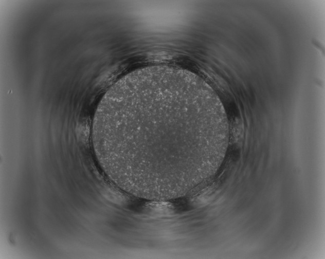 X0000096650427200802191247