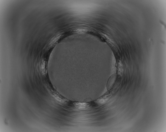 X0000096650428200802191247