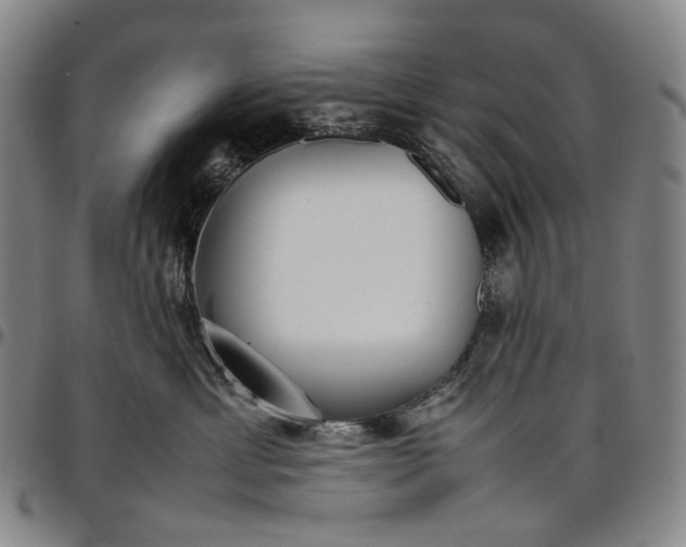 X0000096650429200802191247