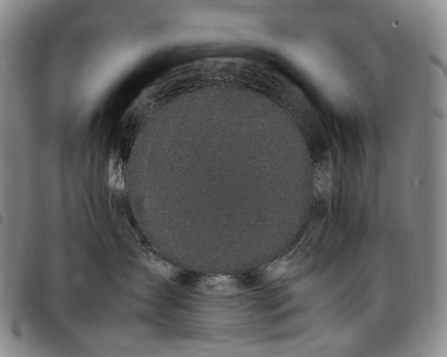 X0000096650431200802191247