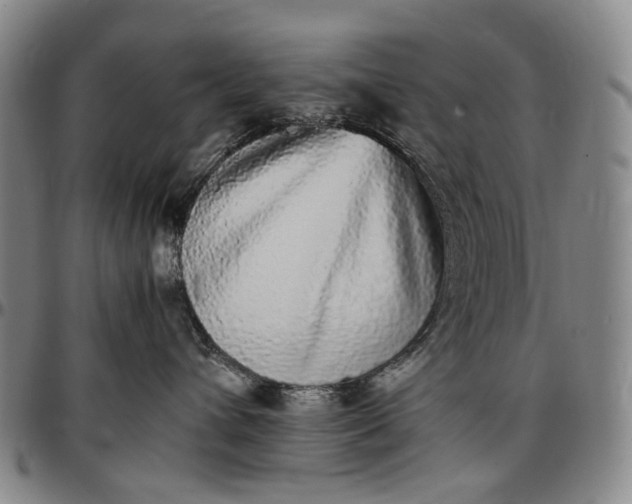 X0000096650432200802191247