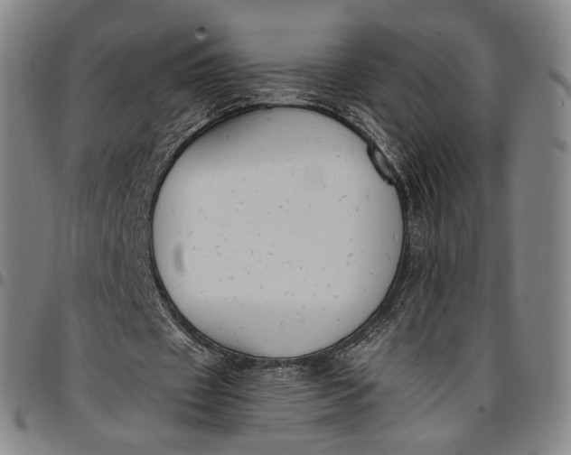 X0000096650433200802191246