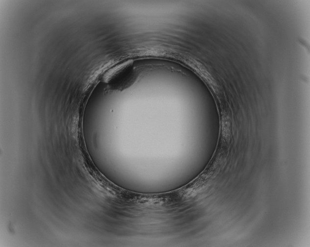X0000096650434200802191246