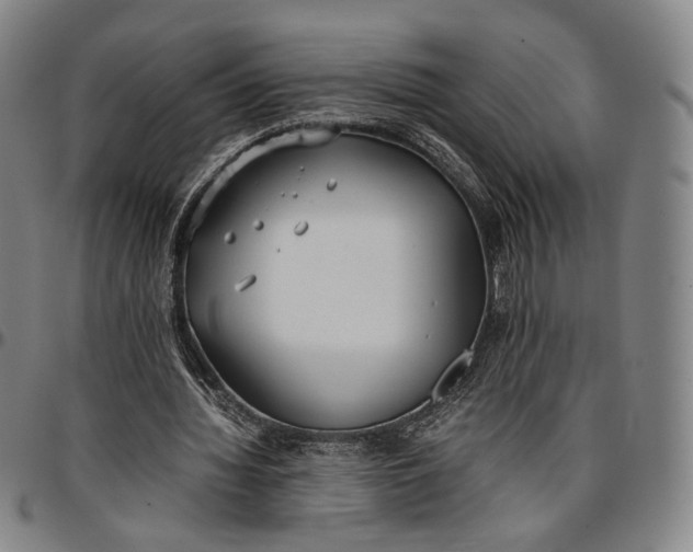 X0000096650436200802191246