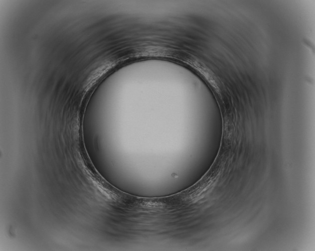 X0000096650437200802191246