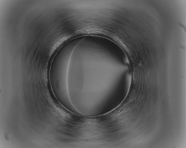 X0000096650438200802191246