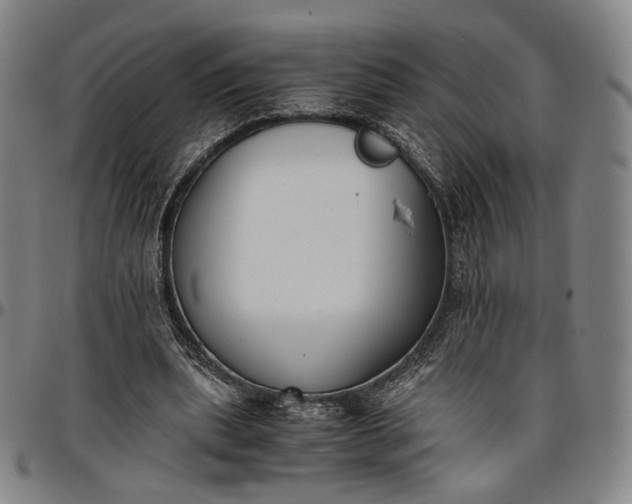 X0000096650439200802191246