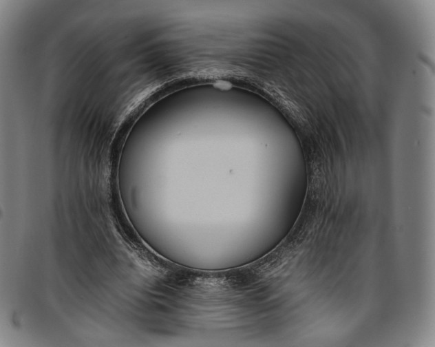 X0000096650440200802191246
