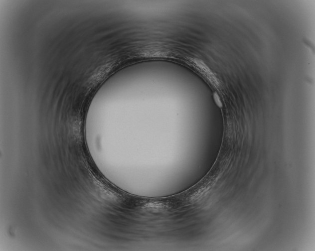 X0000096650441200802191246