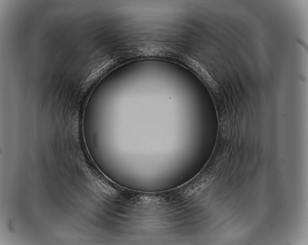 X0000096650442200802191246
