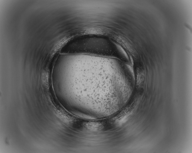 X0000096650444200802191246