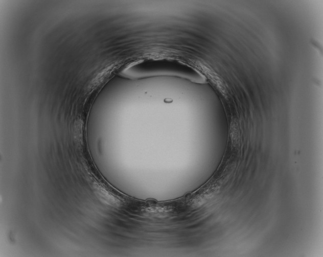 X0000096650445200802191246