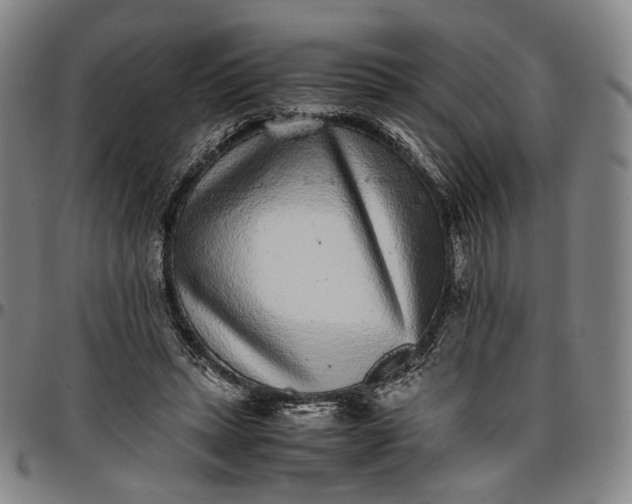 X0000096650447200802191246