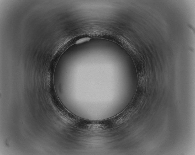 X0000096650448200802191246