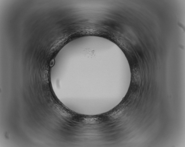 X0000096650450200802191246
