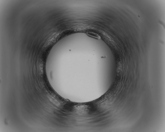X0000096650452200802191246