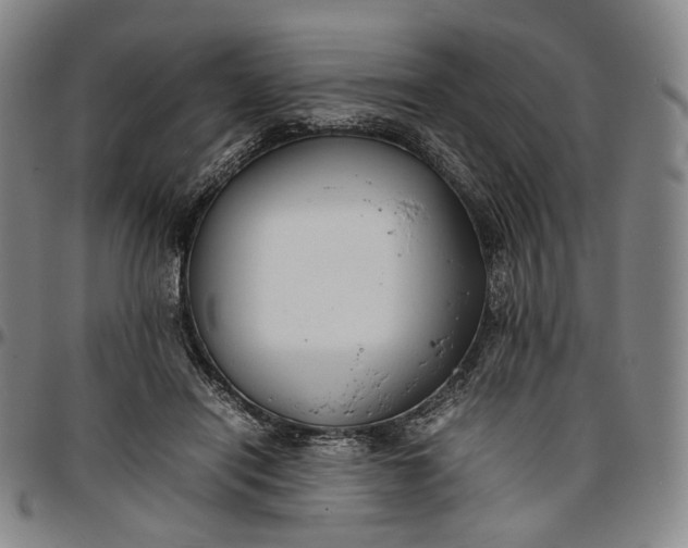 X0000096650454200802191246