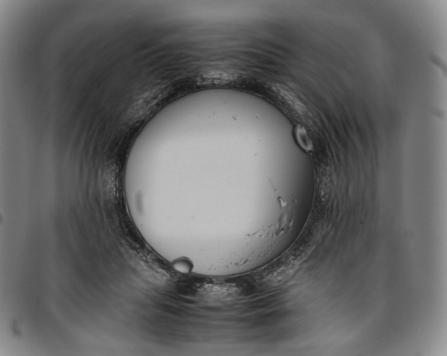 X0000096650455200802191246