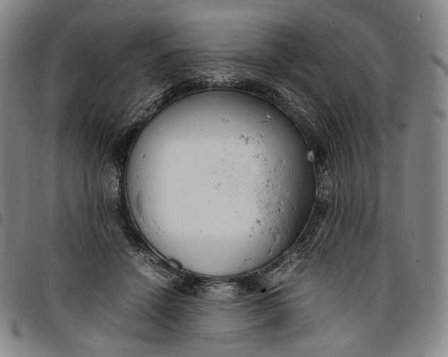 X0000096650456200802191246