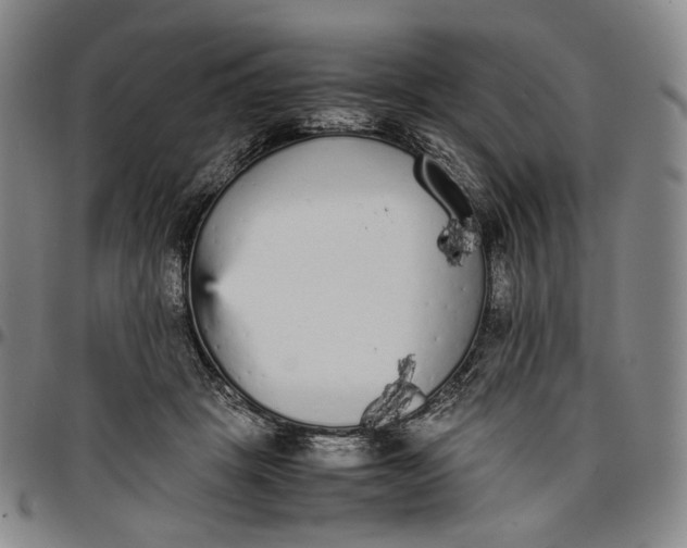 X0000096650457200802191246
