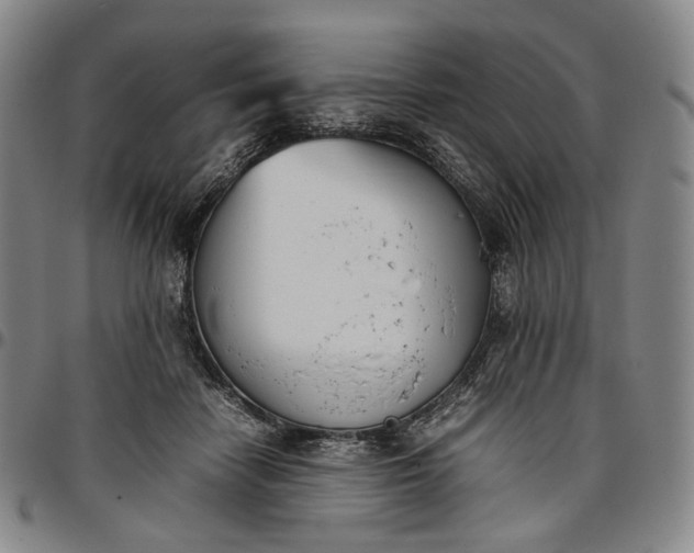X0000096650458200802191247