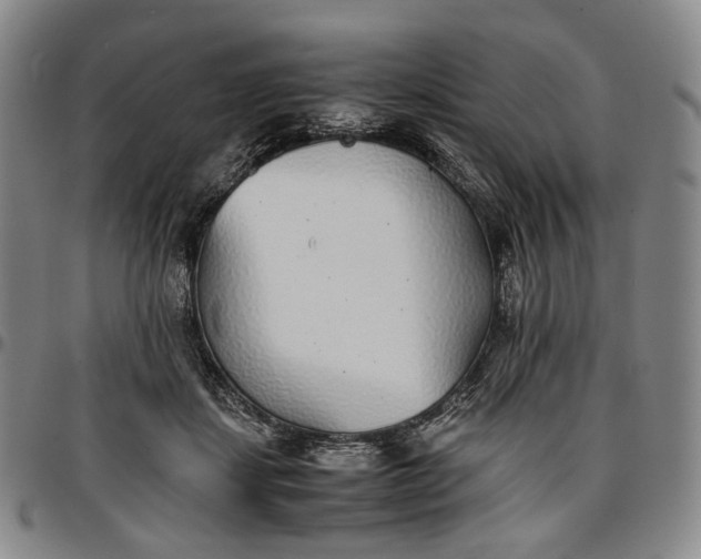 X0000096650459200802191247