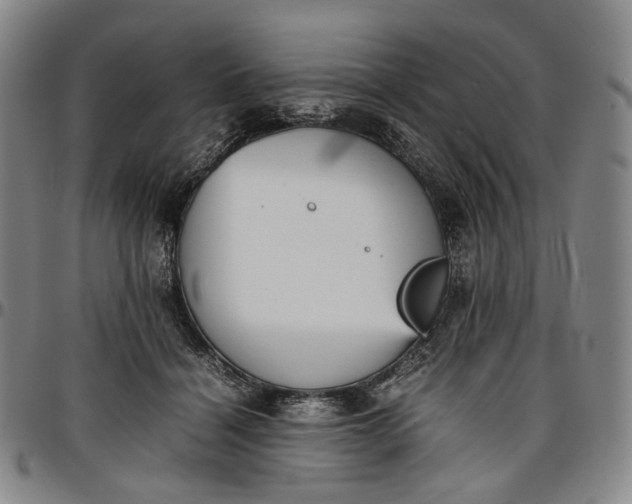 X0000096650460200802191247