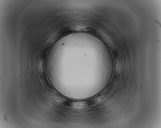 X0000096650461200802191247