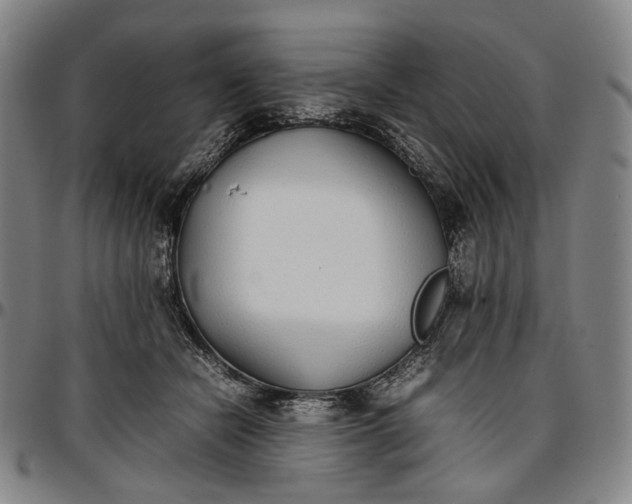 X0000096650462200802191247