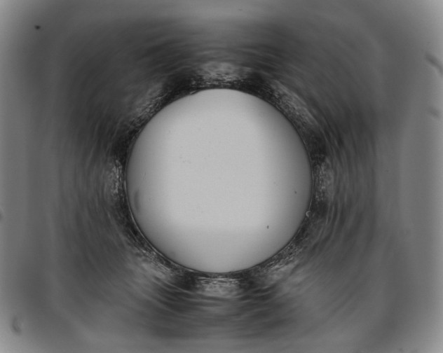 X0000096650463200802191247