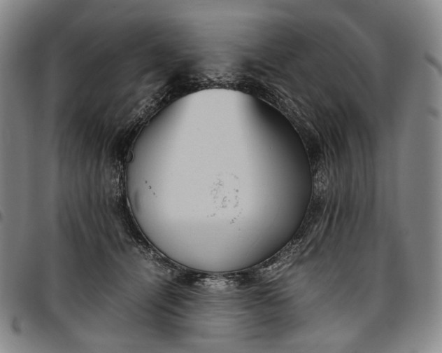 X0000096650464200802191247