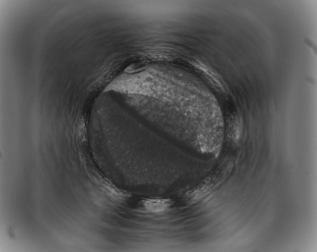 X0000096650465200802191247
