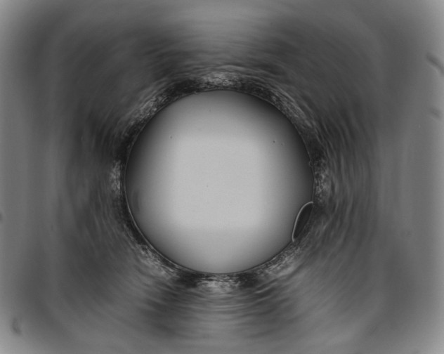 X0000096650466200802191247