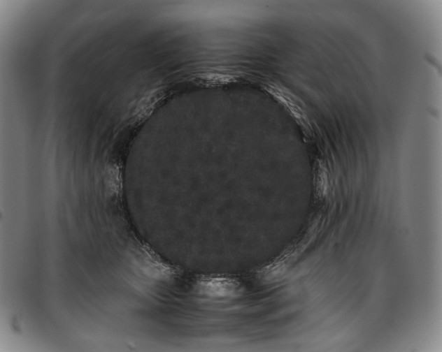 X0000096650467200802191247