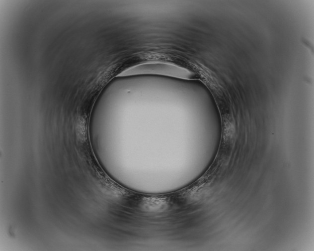 X0000096650469200802191247
