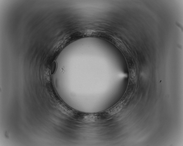 X0000096650470200802191247