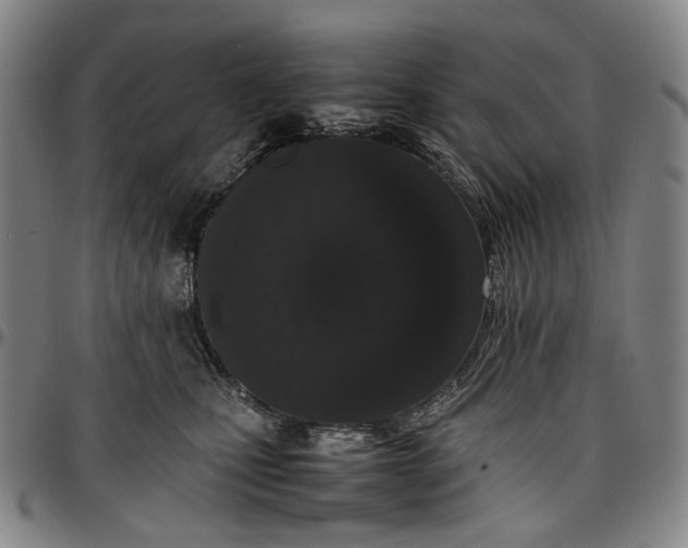 X0000096650471200802191247