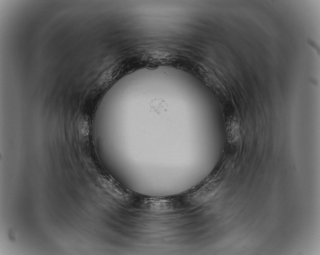 X0000096650472200802191247