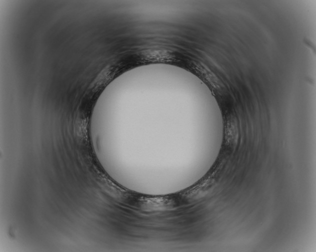 X0000096650473200802191247