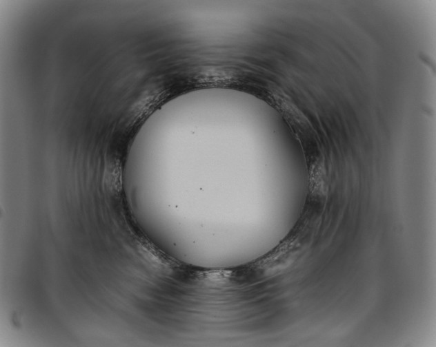 X0000096650474200802191247