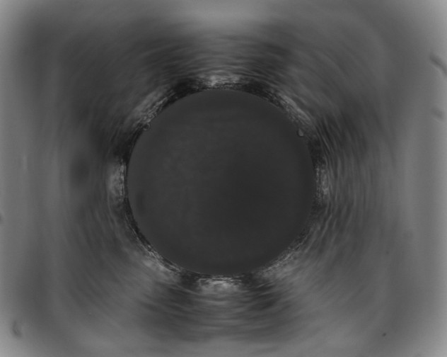 X0000096650475200802191247