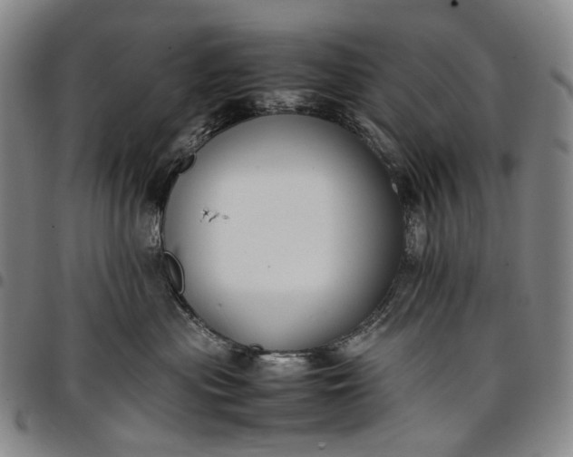 X0000096650477200802191247