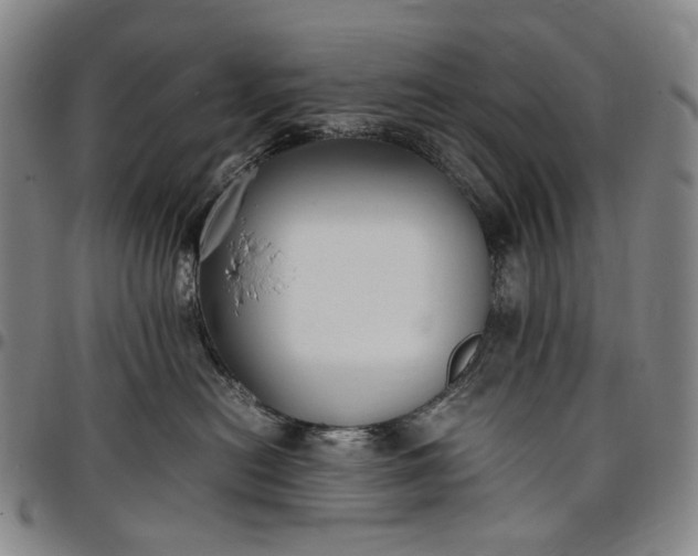 X0000096650478200802191247