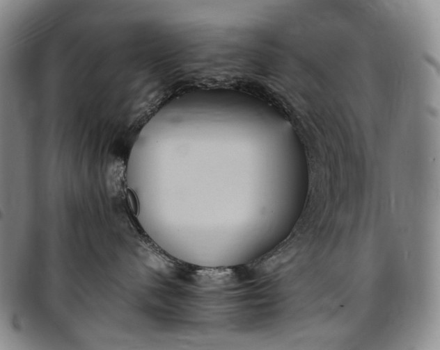 X0000096650480200802191247