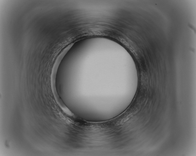 X0000096650481200802191246