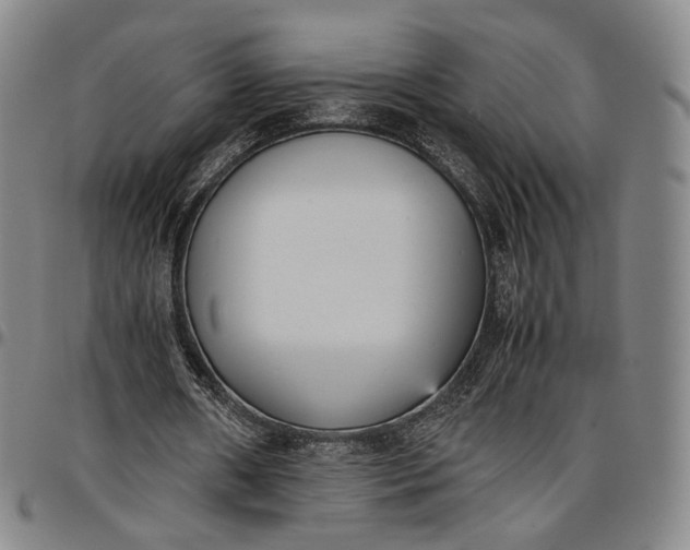 X0000096650482200802191246