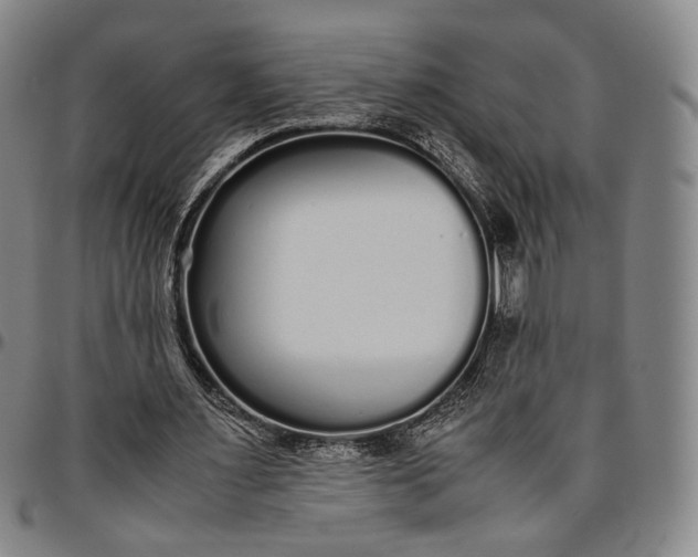 X0000096650483200802191246