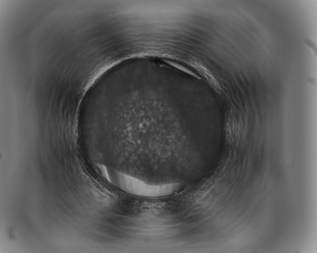 X0000096650484200802191246