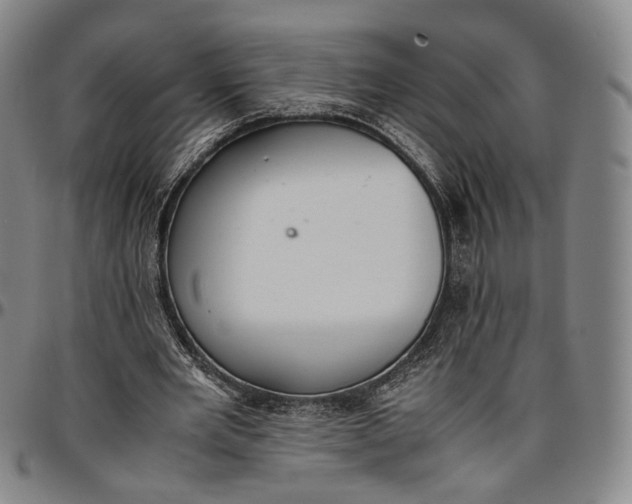 X0000096650485200802191246