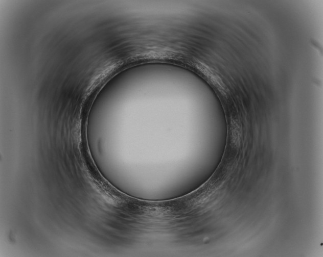 X0000096650486200802191246